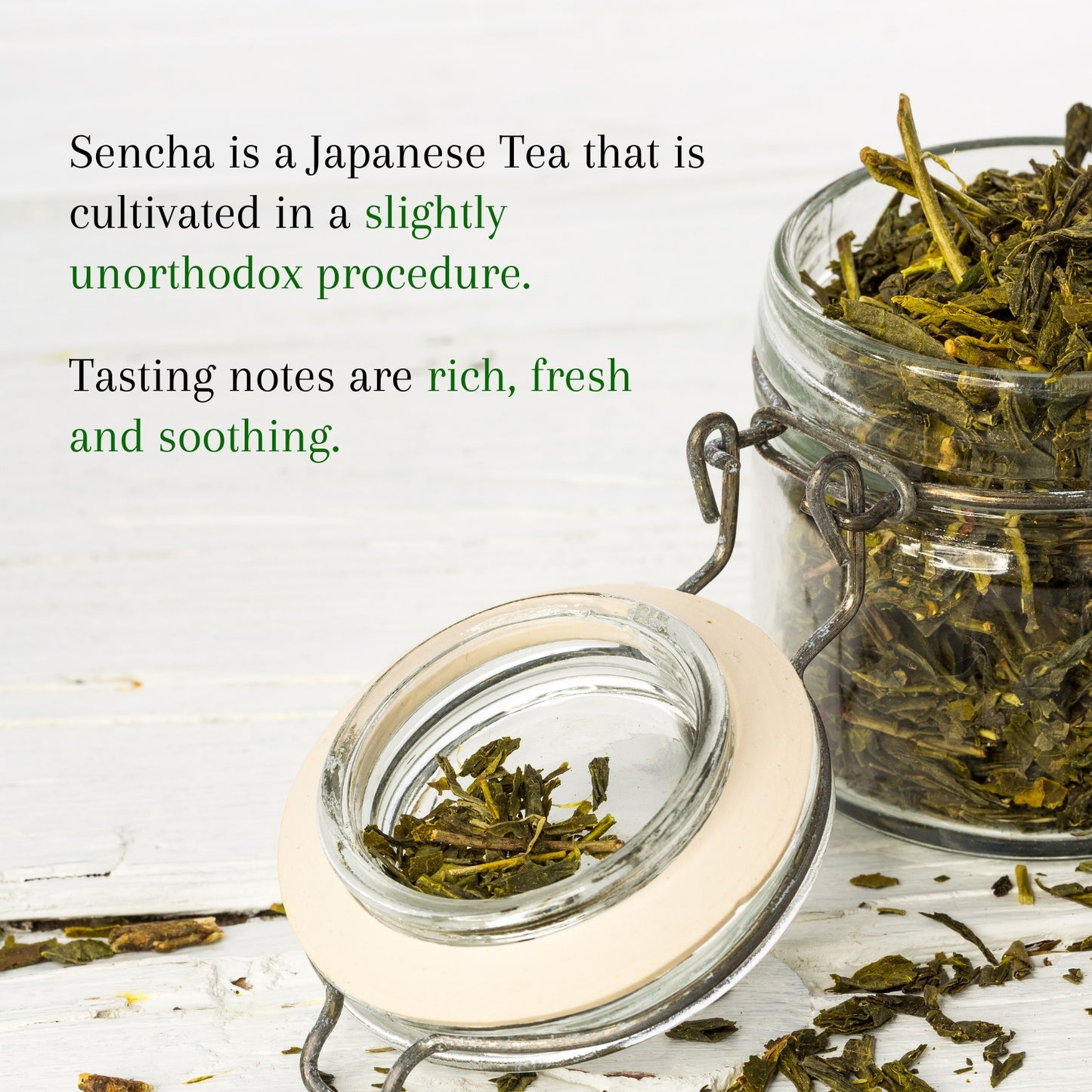 Raintree Premium Kutsurogi Sencha Japanese Green Tea (125g Loose Leaf)