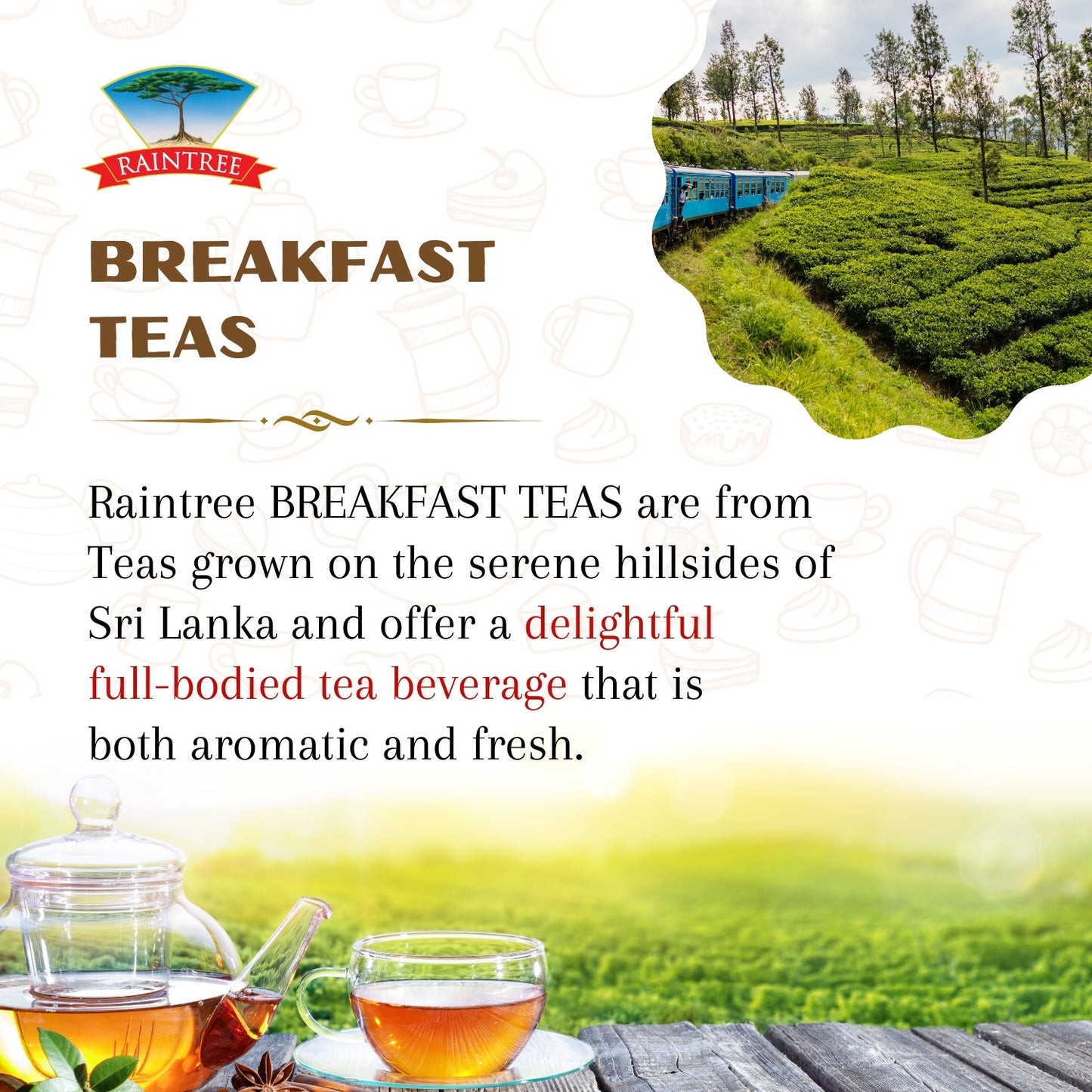 Raintree Singapore Breakfast Tea - Premium Grade (10 Teabags)